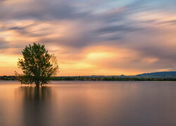 Wschód słońca, Drzewa, Jezioro, Lake Chatfield, Niebo, Park stanowy Chatfield, Kolorado, Stany Zjednoczone