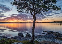 Jezioro, Lake Inari, Drzewo, Zachód słońca, Chmury, Finlandia