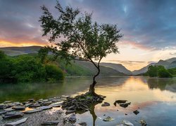 Wielka Brytania, Walia, Park Narodowy Snowdonia, Jezioro, Llyn Padarn, Góry, Drzewo, Kamienie, Zachód słońca