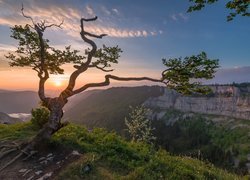 Skały, Atrakcja Creux du Van, Dolina Val de Travers, Kanton Neuchatel, Szwajcaria, Drzewo, Wschód słońca, Chmury