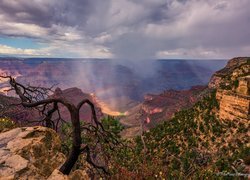 Stany Zjednoczone, Arizona, Kanion, Wielki Kanion Kolorado, Grand Canyon, Park Narodowy Wielkiego Kanionu, Skały, Chmury, Tęcza, Drzewo