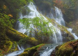 Wodospad, Panther Creek Falls, Omszone, Skały, Drzewa, Rośliny, Stan Waszyngton, Stany Zjednoczone