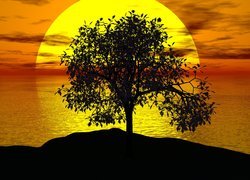 Drzewo, Zachód słońca, Morze, 2D