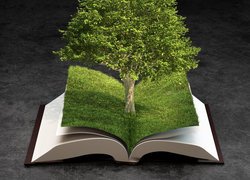 Drzewo na trawie w otwartej książce