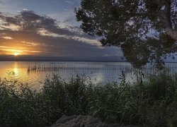 Zachód słońca, Jezioro, Sieci, Drzewo, Trzciny