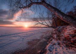 Jezioro Turgoyak, Zima, Drzewa, Wschód Słońca, Obwód czelabiński, Rosja