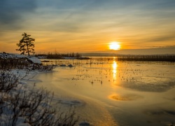 Zima, Jezioro Glafsfjorden, Wschód słońca, Drzewo, Szwecja