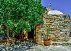 Drzewo przy kamiennej kapliczce na Cyprze