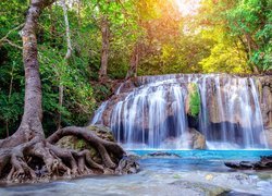 Wodospad, Erawan Waterfall, Drzewo, Korzenie, Park Narodowy Erawan, Prowincja Kanchanaburi, Tajlandia