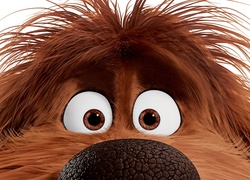 Duke - kudłaty pies z animowanego filmu Sekretne życie zwierzaków domowych