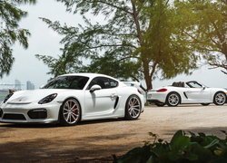 Dwa, Białe, Porche Cayman GT4