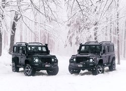 Dwa czarne Land Rovery Defender w lesie