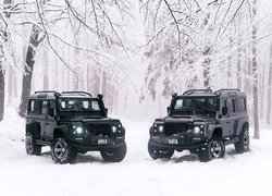 Dwa, Czarne, Land Rover Defender, 2018, Las, Drzewa, Zima