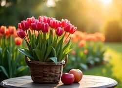Dwa jabłka obok koszyka z czerwonymi tulipanami na stoliku
