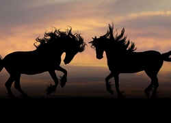 Dwa konie z rozwianymi grzywami na tle zachodu słońca