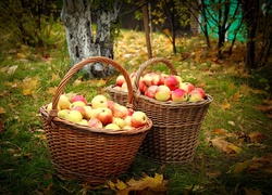 Jesień, Drzewa, Liście, Kosze, Jabłka