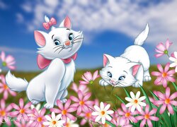 Dwa kotki w kwiatach