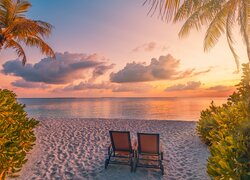 Dwa leżaki na morskiej plaży pomiędzy palmami