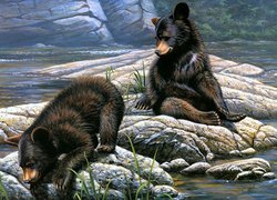 Dwa, Niedźwiedzie czarne, Skały, Rzeka, Malarstwo, Obraz, Paco Young
