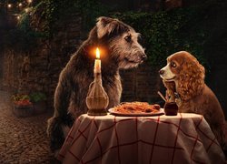 Film, Lady and the Tramp, Zakochany kundel, Psy, Zwierzęta, Stolik, Świeca