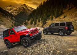 Dwa, Samochody, Jeep Wrangler Rubicon, 2018