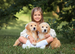 Dwa szczeniaki i dziewczynka na trawie