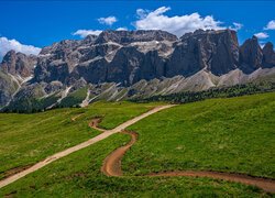 Dwie drogi przez łąki w stronę Dolomitów