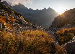 Góry, Tatry, Kamienie, Trawa, Dwie, Kozice tatrzańskie, Słoneczny, Dzień