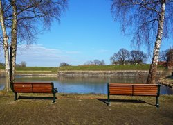 Dwie ławki pod bezlistnymi drzewami nad rzeką