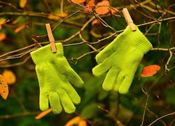 Dwie zielone rękawiczki zawieszone na gałązkach