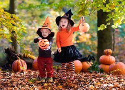 Dzieci, Dynie, Las, Jesień, Halloween