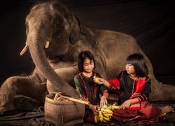 Dzieci karmiące słonia