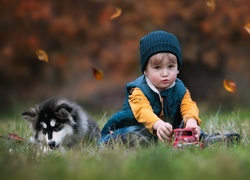 Dziecko bawiące się samochodzikiem i towarzyszący mu szczeniak alaskan malamute