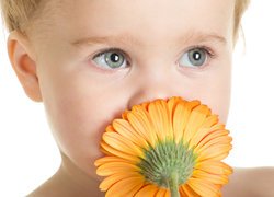 Dziecko z kwiatem gerbery