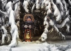 Dziecko z lampą w zimowym lesie