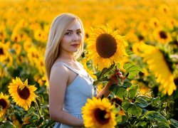 Dziewczyna przy kwitnących słonecznikach
