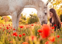 Dziewczyna z koniem wśród maków