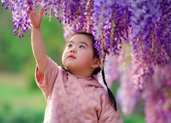 Dziewczynka dotykająca kwiatów glicynii