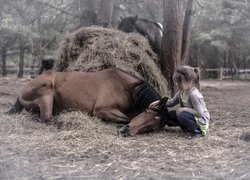 Dziewczynka głaszcząca konia