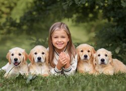 Dziewczynka, Cztery, Szczeniaki, Golden retrievery