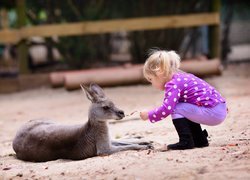 Dziewczynka i kangur