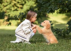 Dziewczynka, Szczeniak, Golden retriever, Trawa