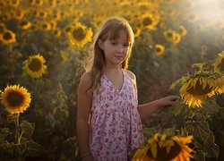 Dziewczynka na plantacji słoneczników