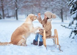 Zima, Śnieg, Dziewczynka, Pies, Golden retriever, Sanki, Drzewa