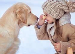 Dziewczynka w czapce karmiąca golden retrievera