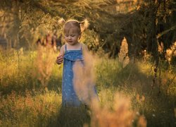 Dziewczynka w niebieskiej sukience na polanie