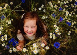 Dziewczynka w polnych kwiatach