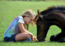 Dziewczynka zaprzyjaźnia się z koniem