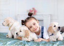 Trzy, Szczeniaki, Golden retriever, Dziewczynka