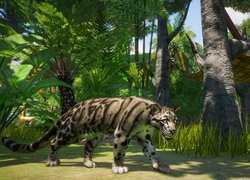 Dziki kot w grze Planet Zoo